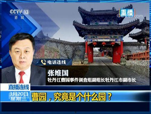 曹园 曹波背景,揭秘传奇企业家背后的故事